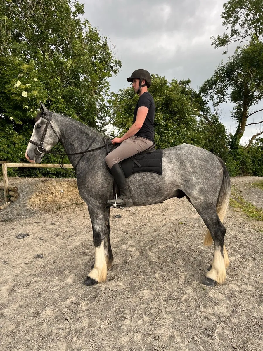 ☘️Lot 368 goresbridge sales☘️ - Image 3