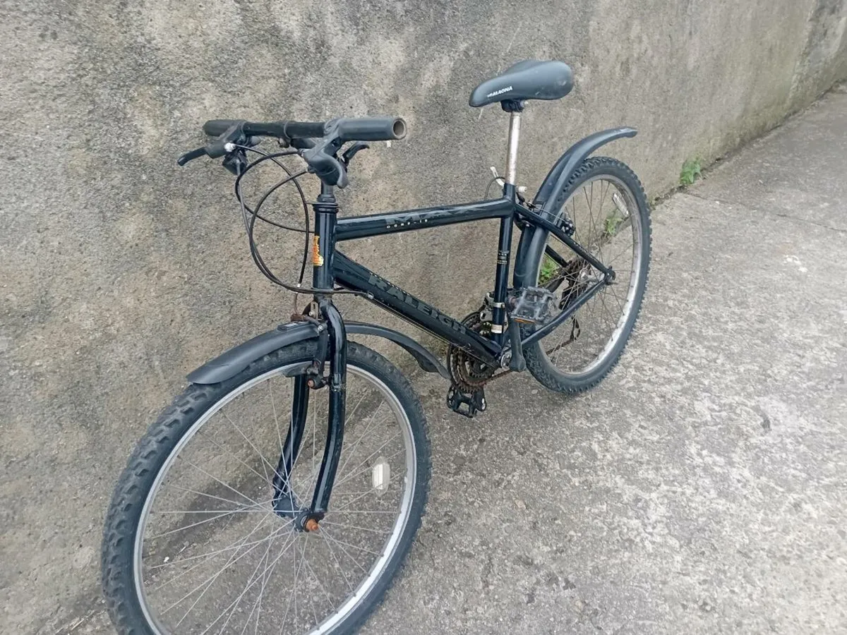 Adults bike - Image 1