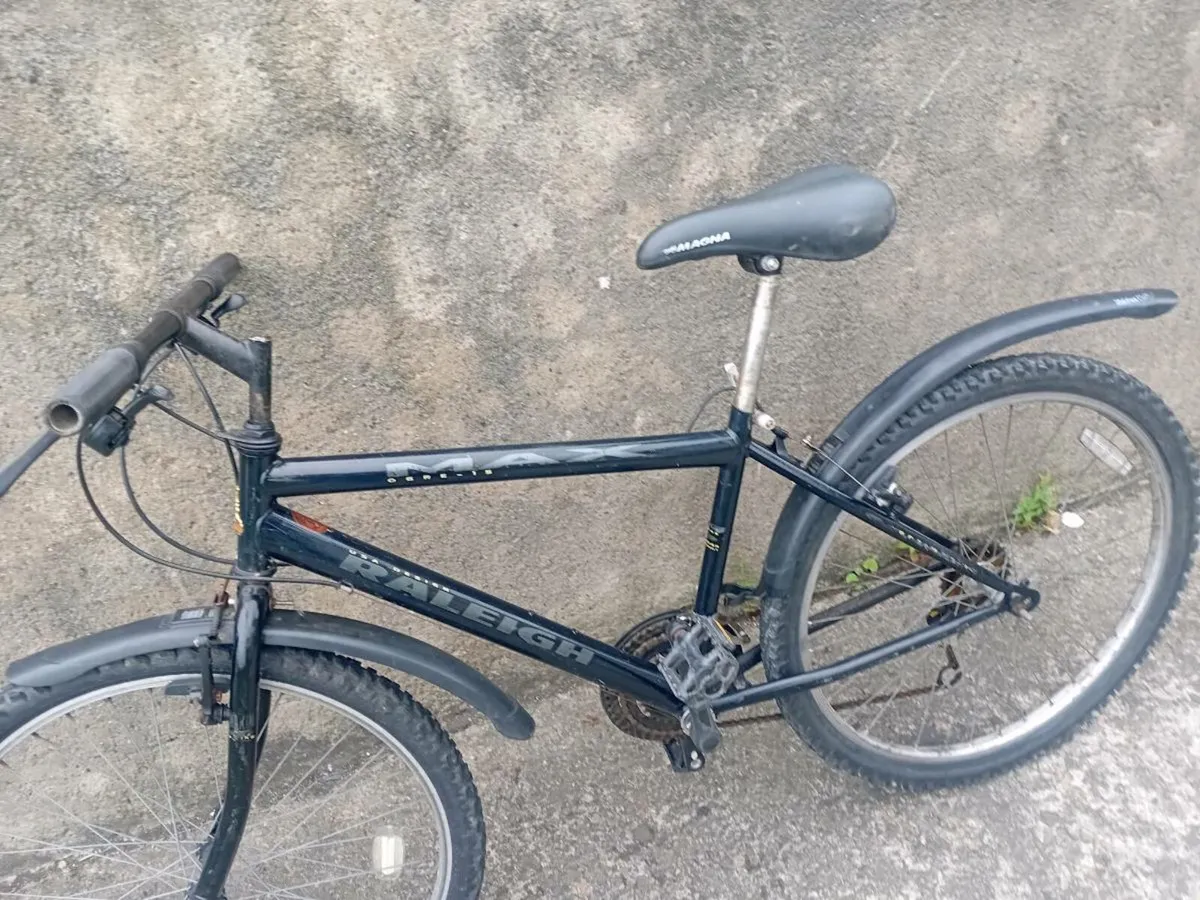 Adults bike - Image 2