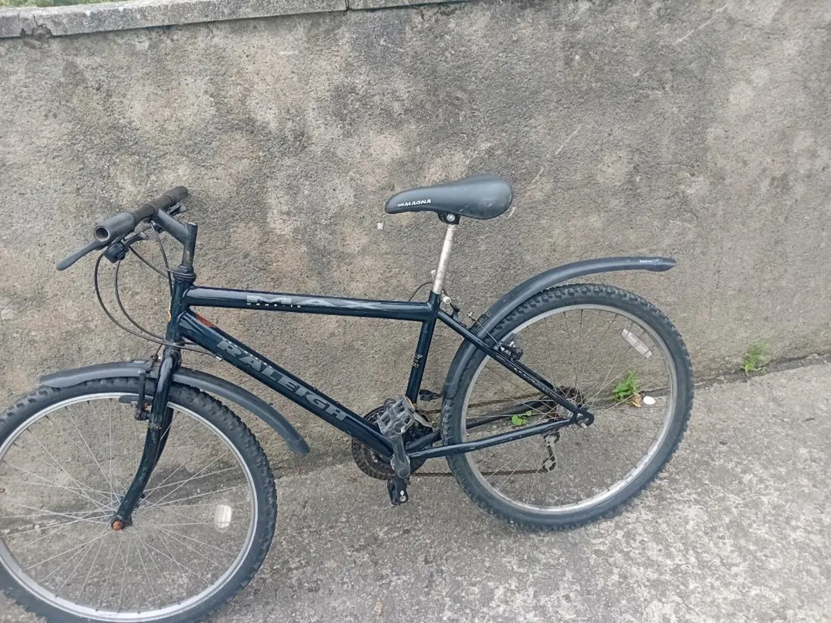 Adults bike - Image 3