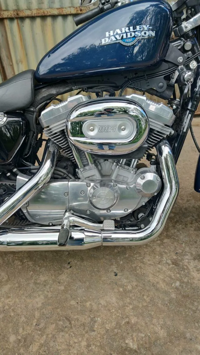 Harley Davidson  Sportster XL883L - Image 2