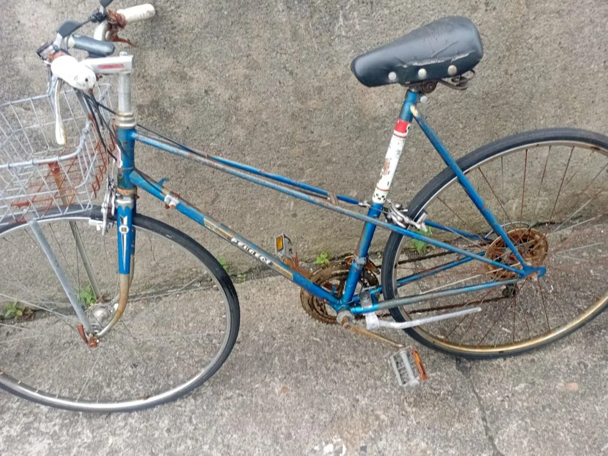 Adults bike - Image 1