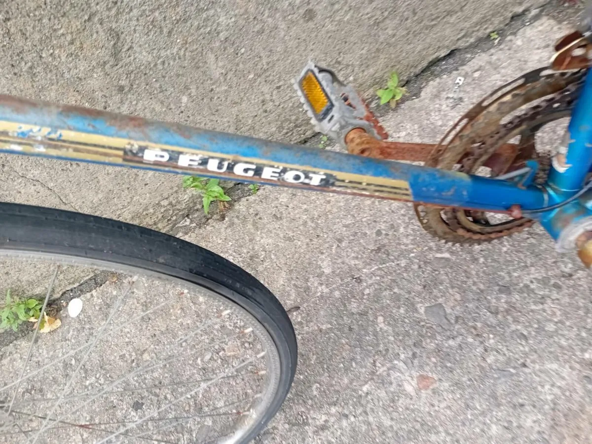 Adults bike - Image 2