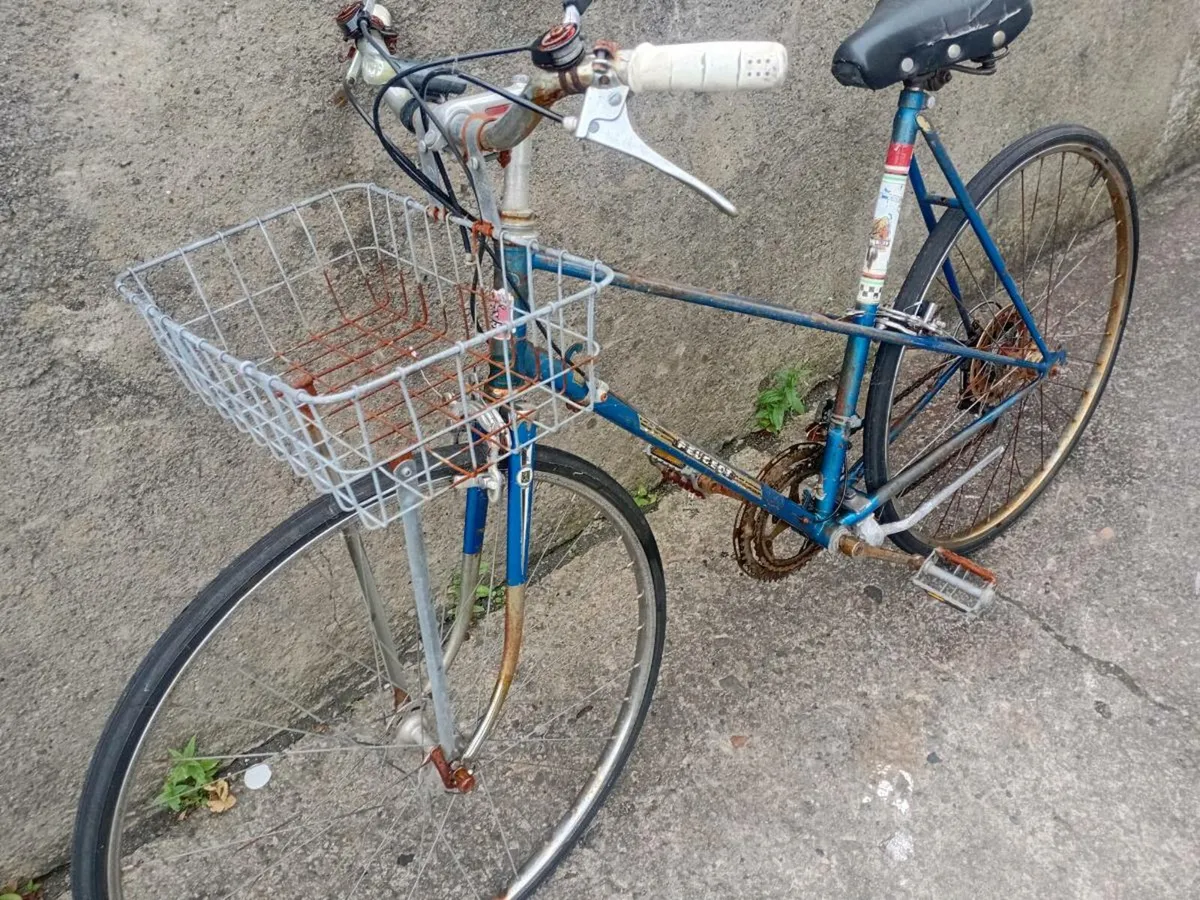 Adults bike - Image 3