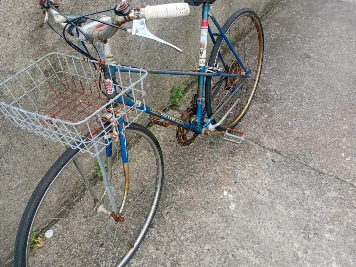 Adults bike - Image 4