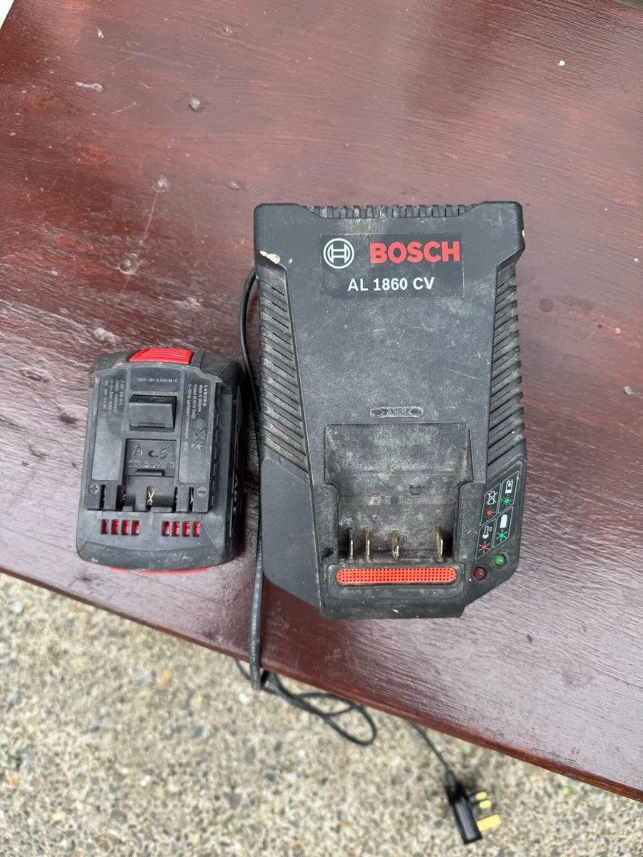 Bosch battery - Image 1