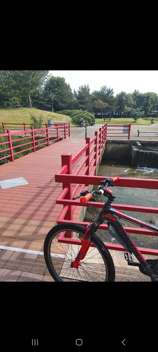 Bike - Image 1