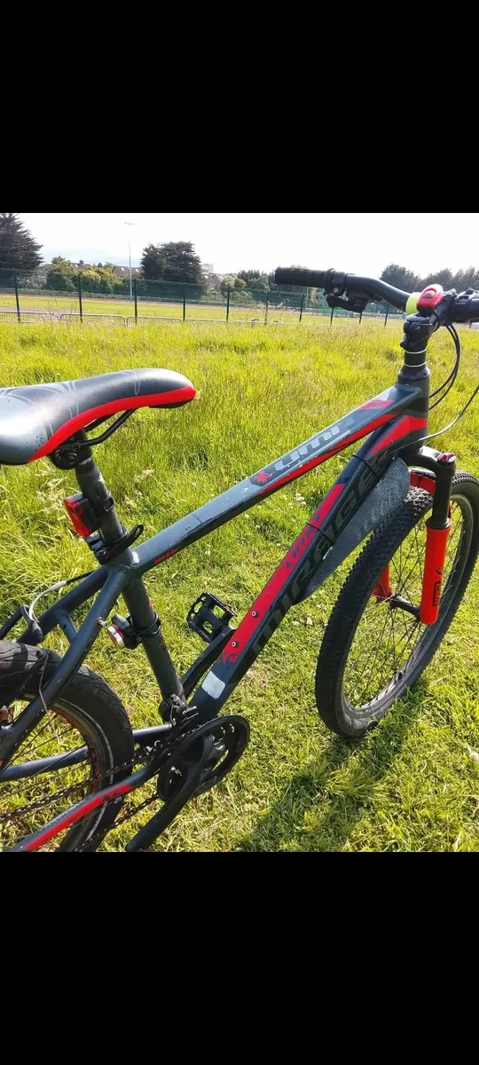 Bike - Image 2