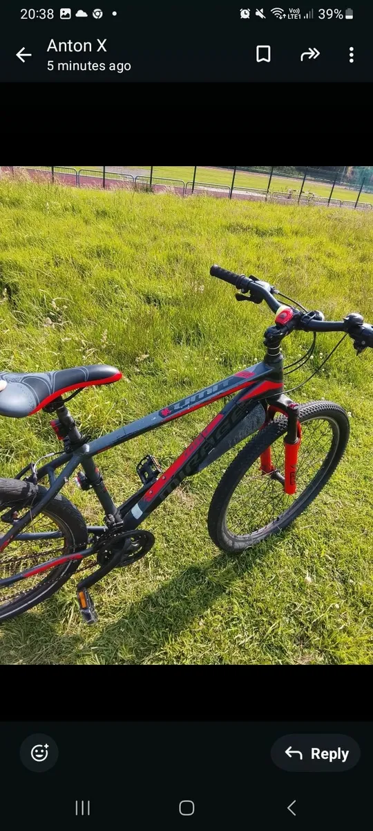 Bike - Image 3