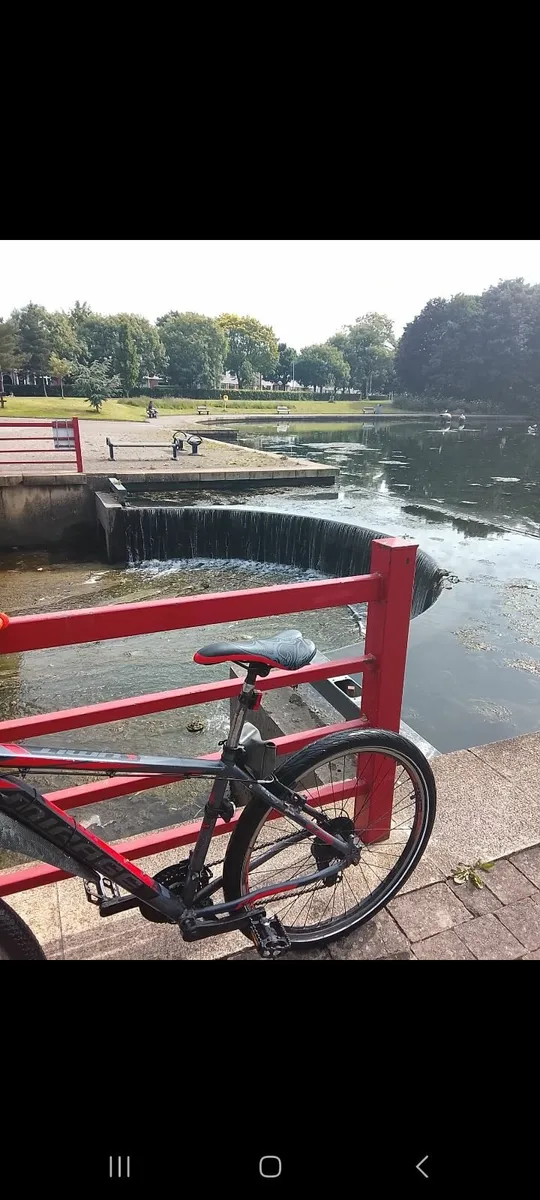 Bike - Image 4