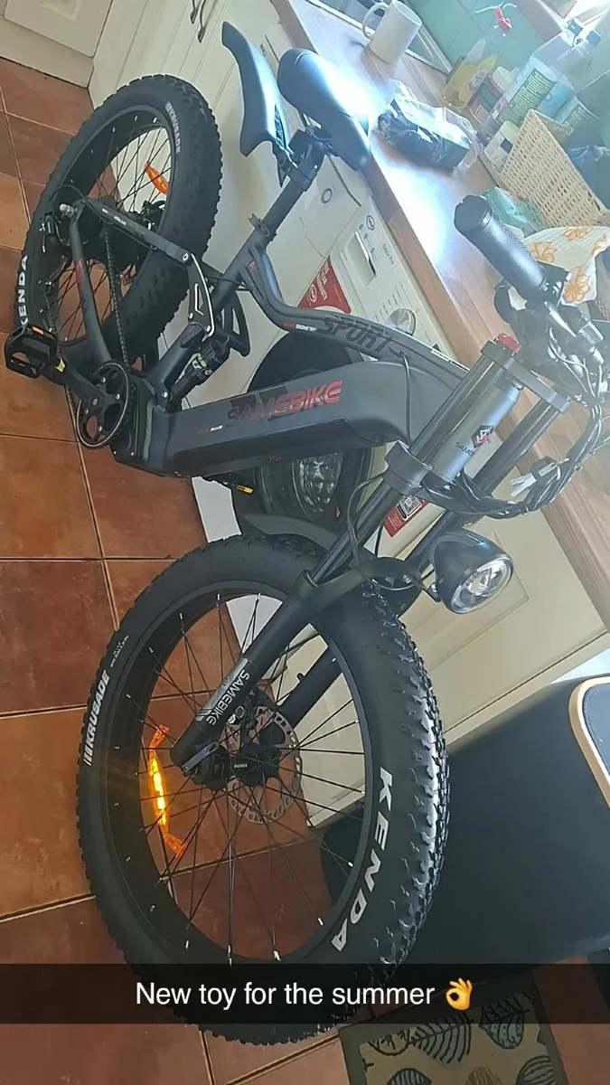 Electric bicycle - Image 1