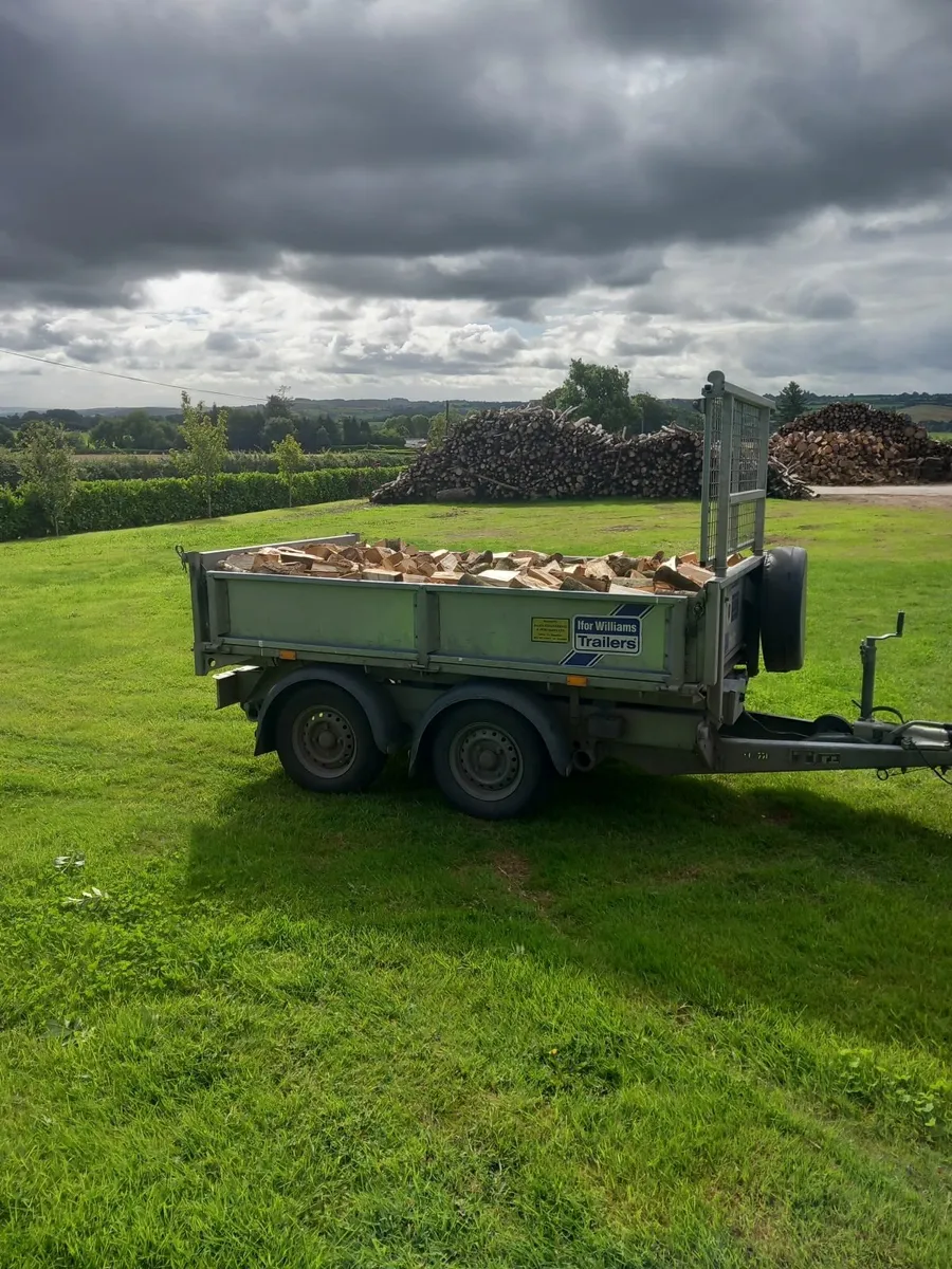 Firewood - Image 3