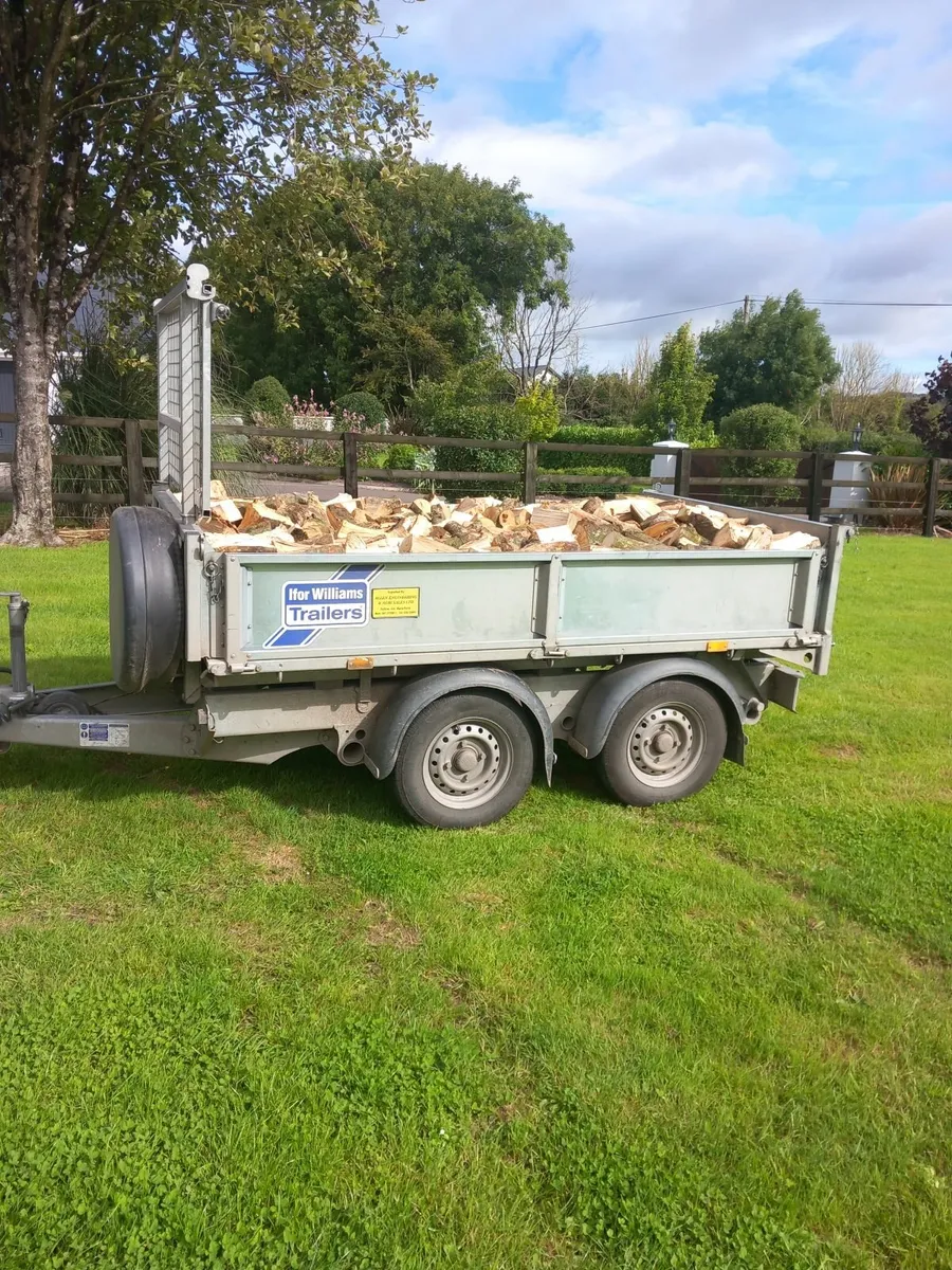 Firewood - Image 4