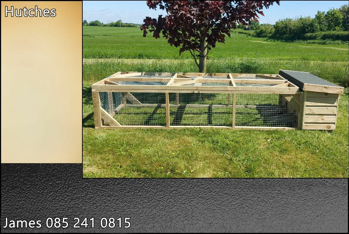 Guinea Pig / Rabbit Enclosure - Image 4
