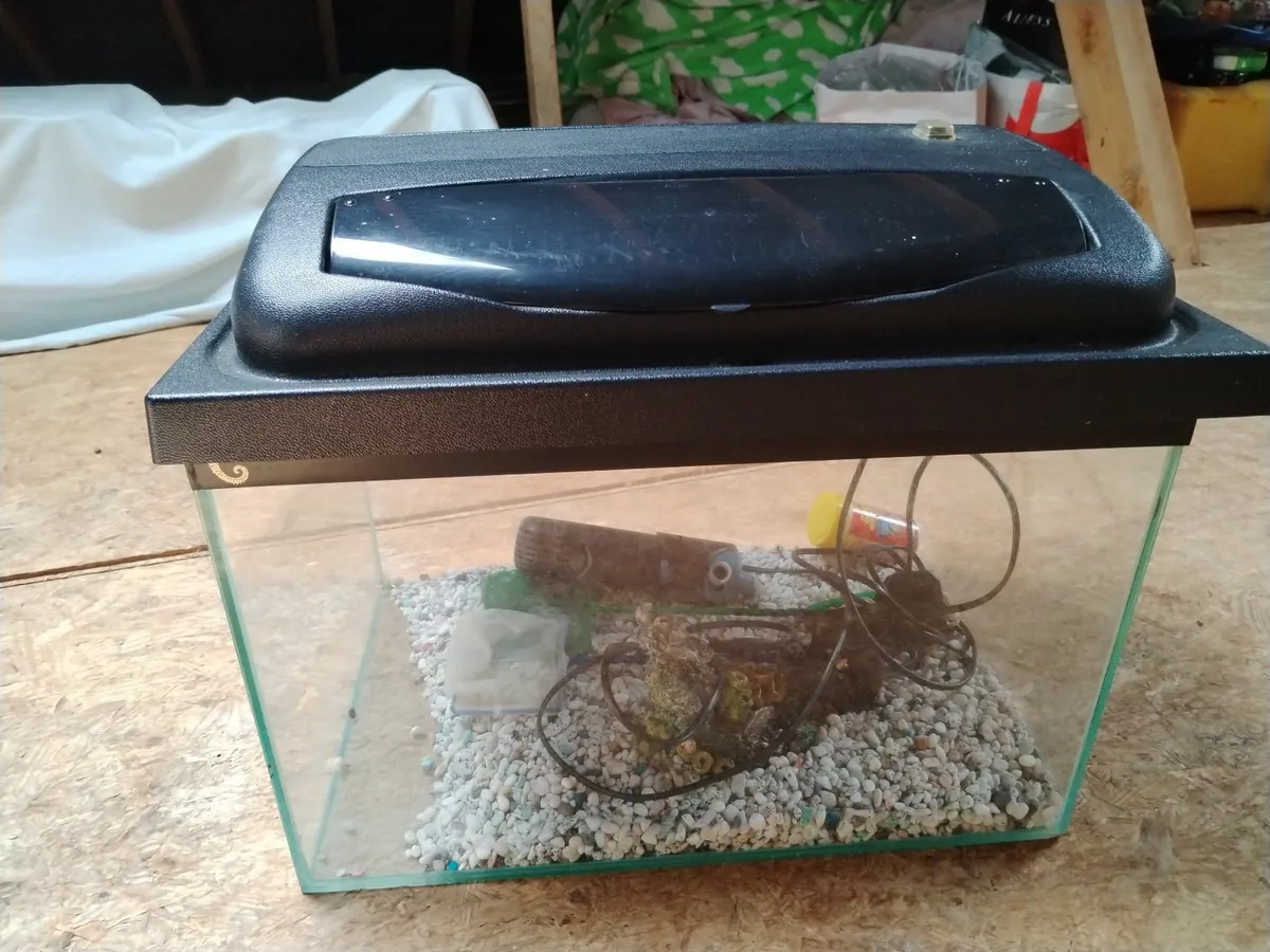 Fish tank - Image 1