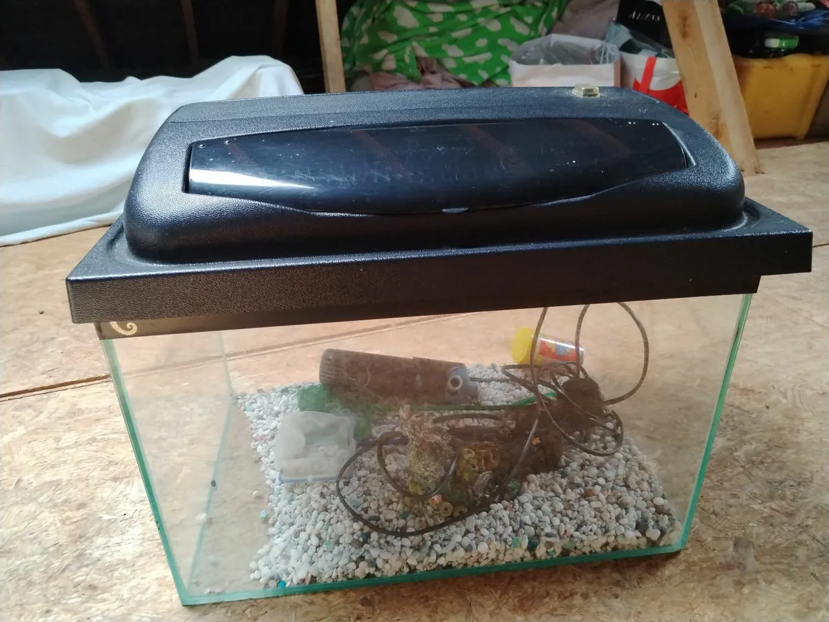 Fish tank - Image 3