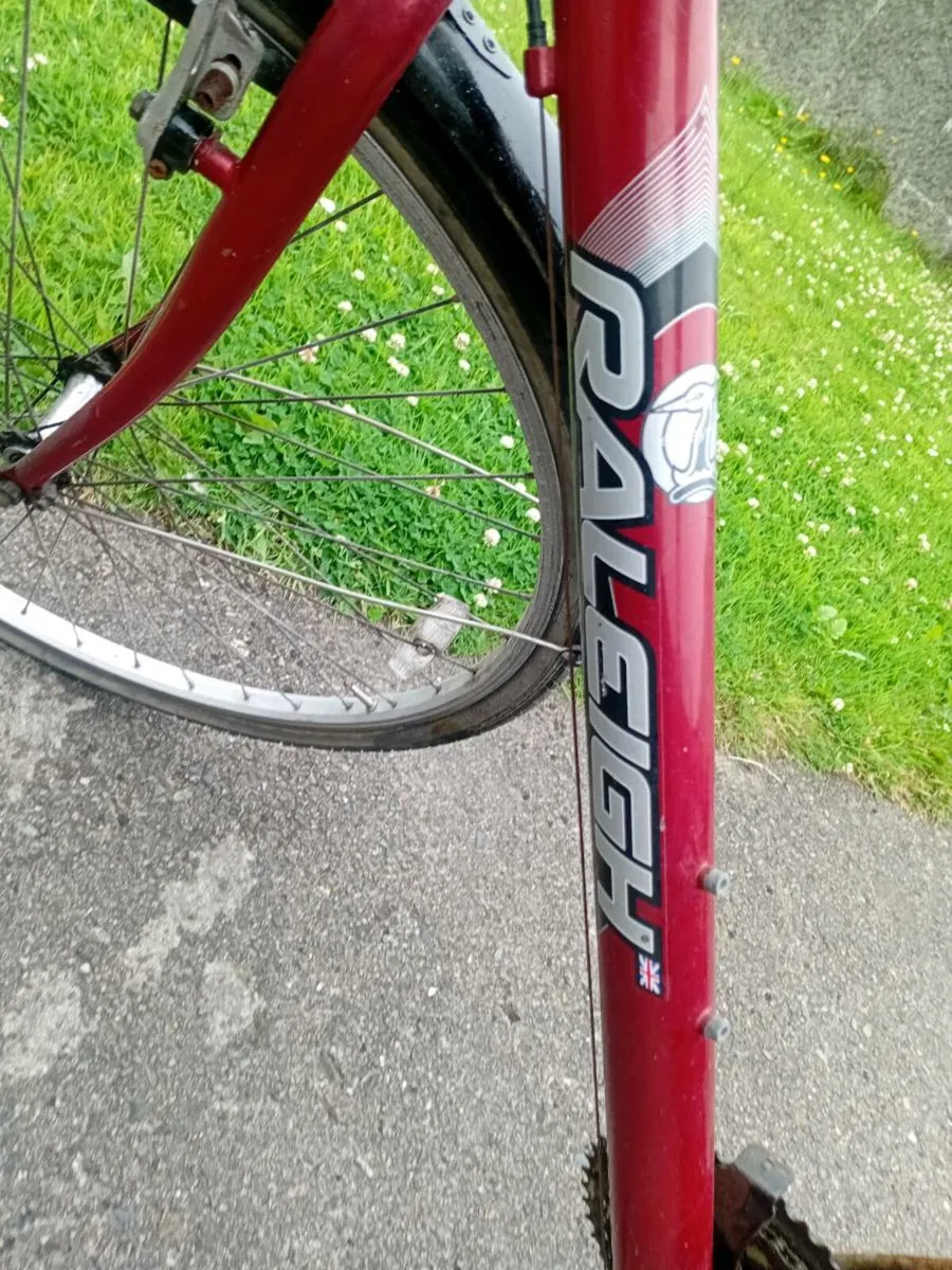 Adults bike - Image 2