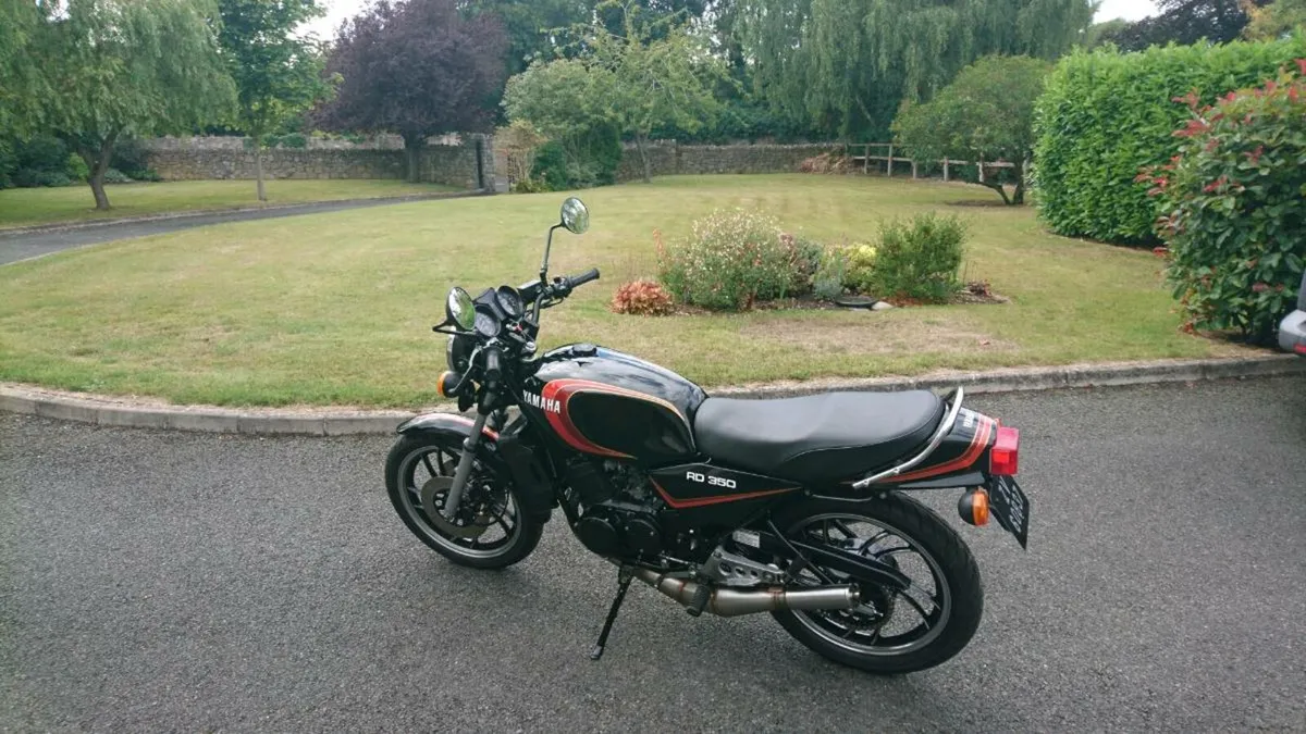 Yamaha rd350lc - Image 4