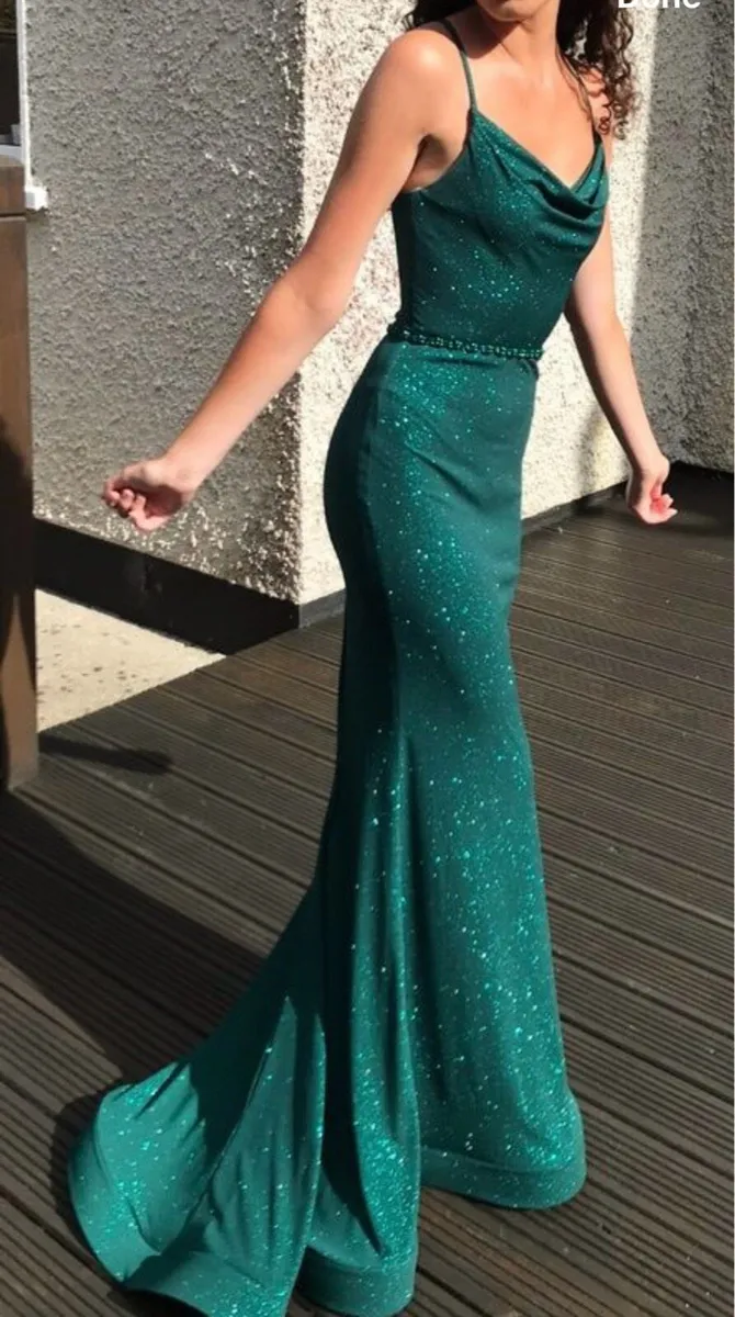Dani’s Closet Deb Dress size 4 - Image 1