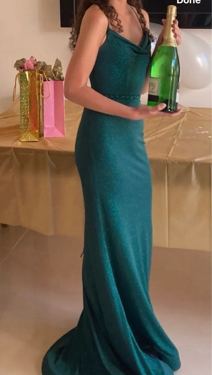 Dani’s Closet Deb Dress size 4 - Image 3