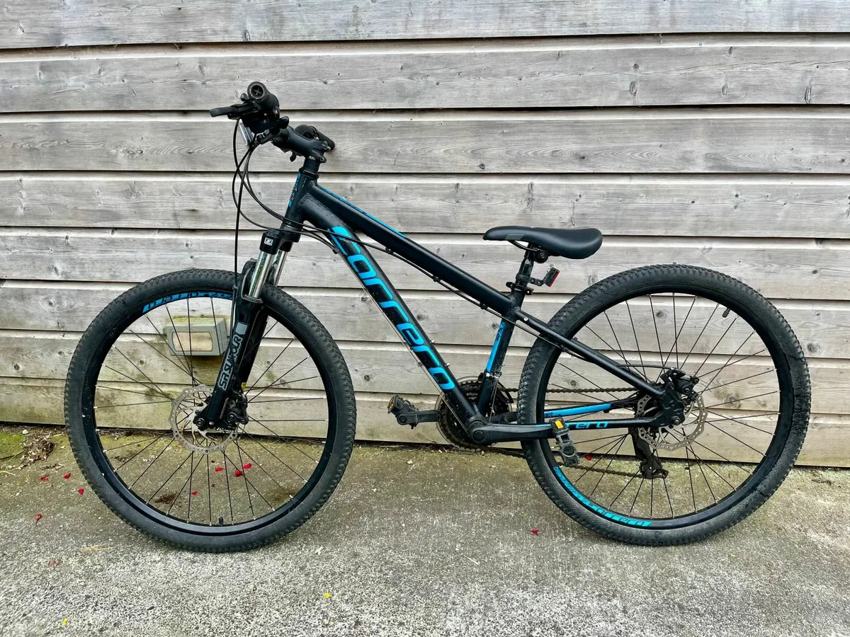 Bike - Image 1