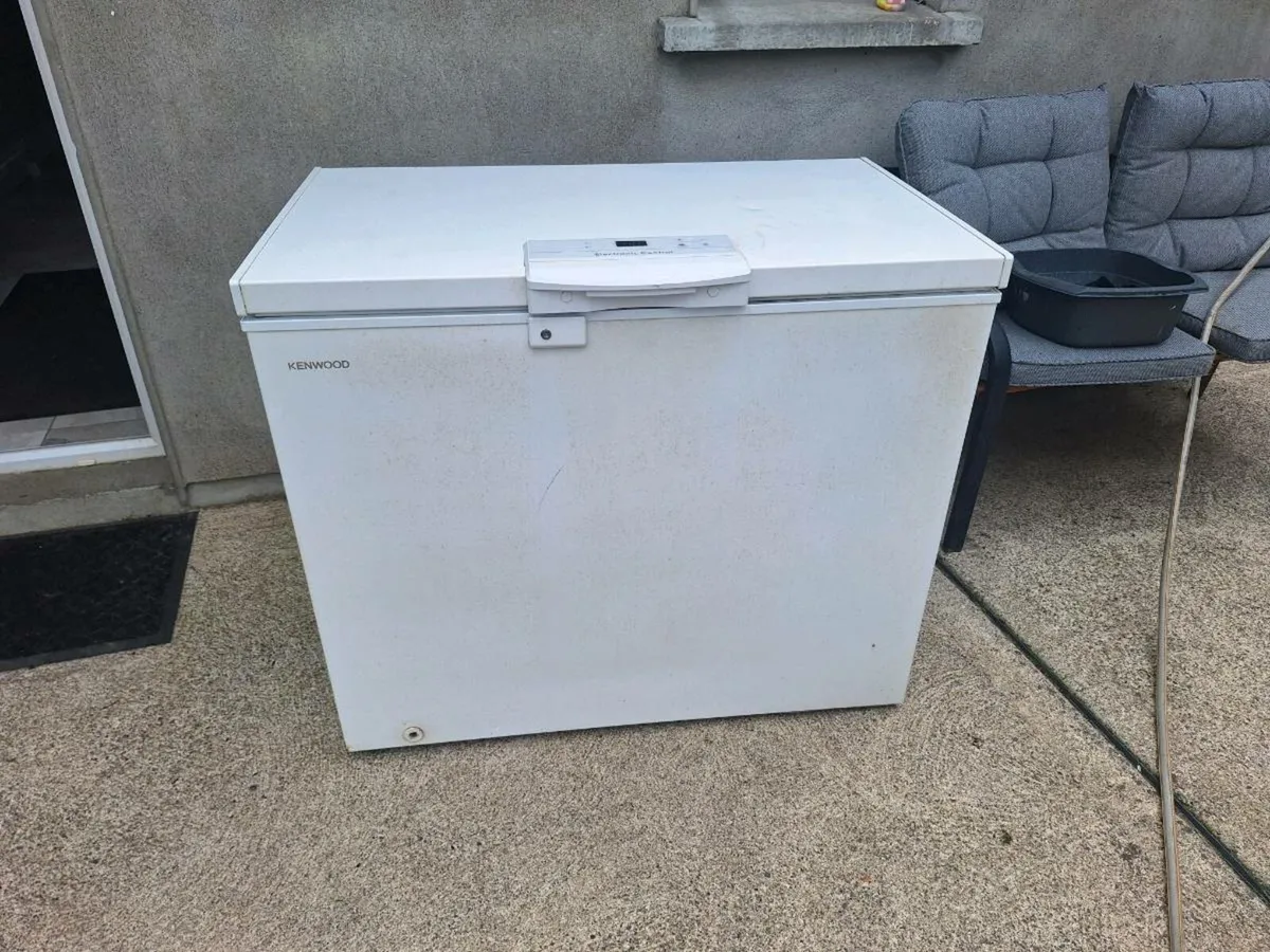 Freezer - Image 1