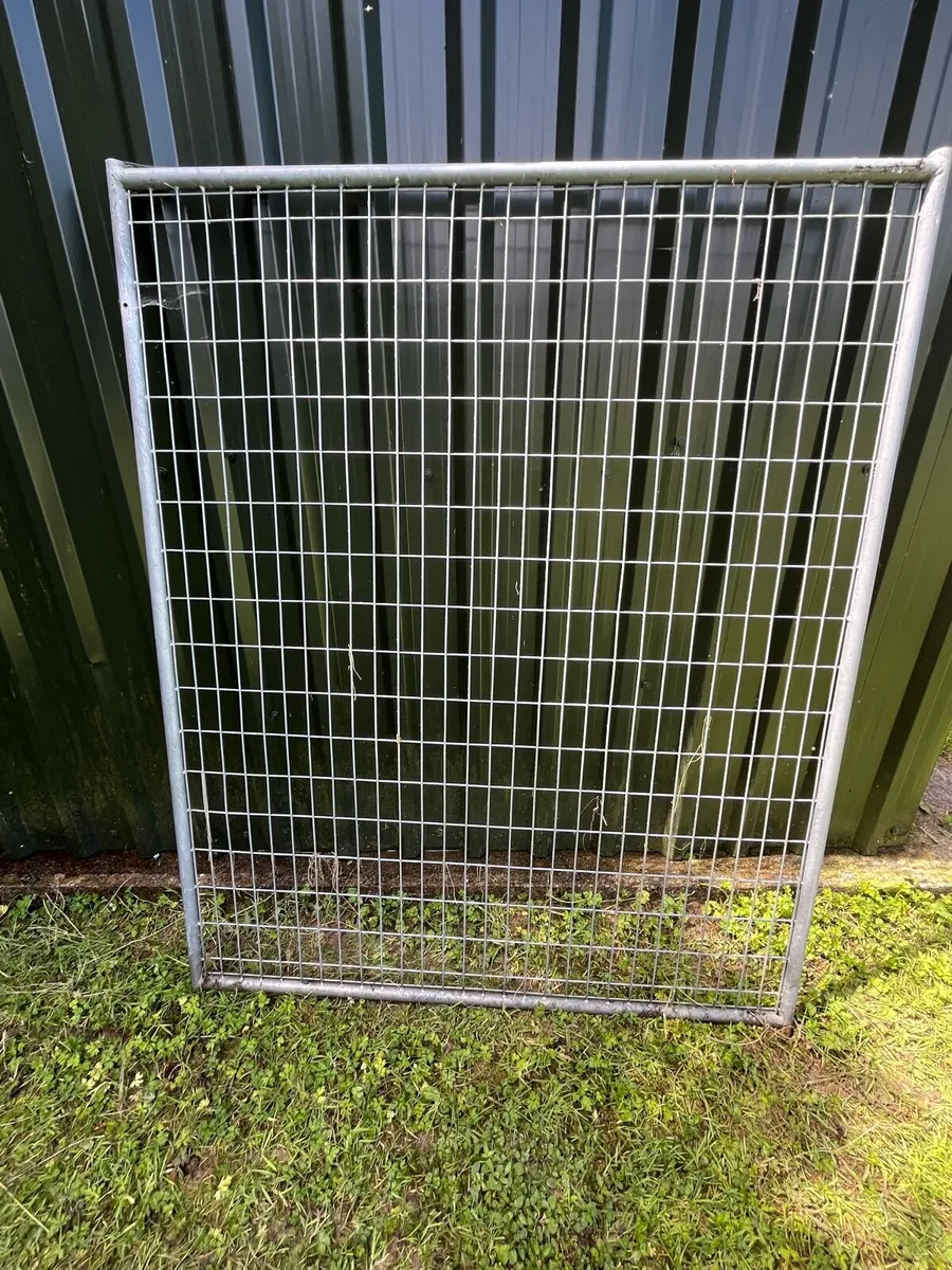 Dog run - steel fencing - Image 2