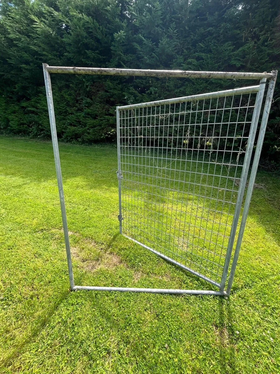 Dog run - steel fencing - Image 1