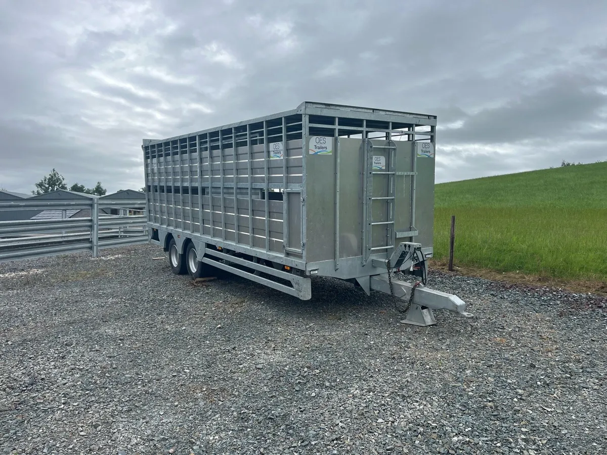 24ft Cattle trailer - Image 1
