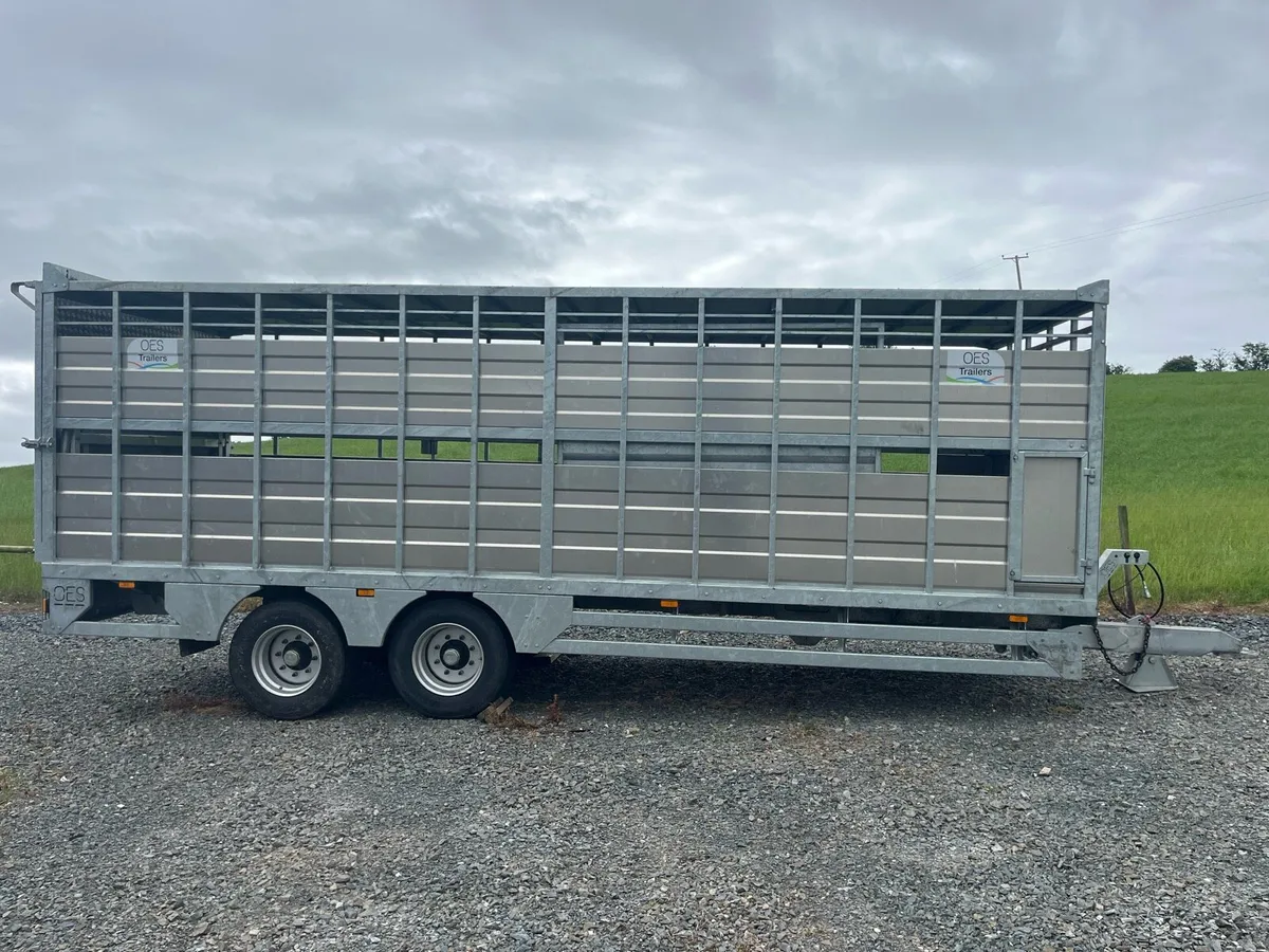 24ft Cattle trailer - Image 2