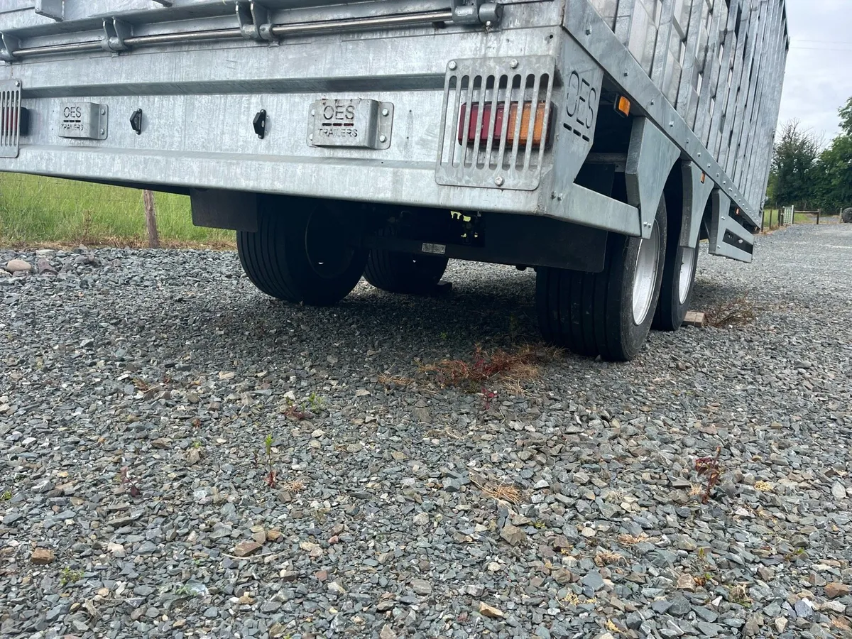 24ft Cattle trailer - Image 3