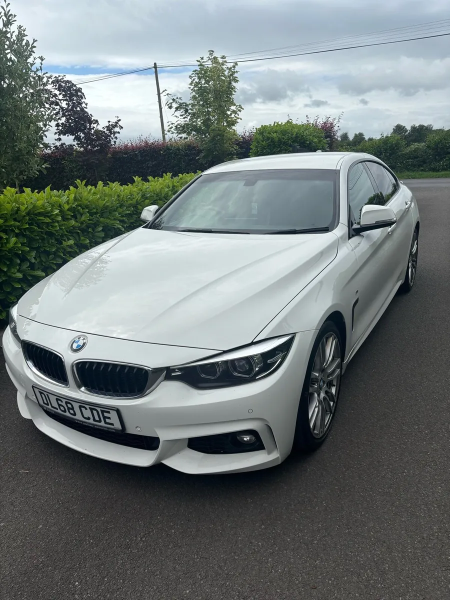 2019 BMW 4series 420d M Sport Gran Coupe - Image 1