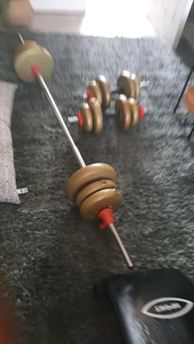 Weights - Image 1