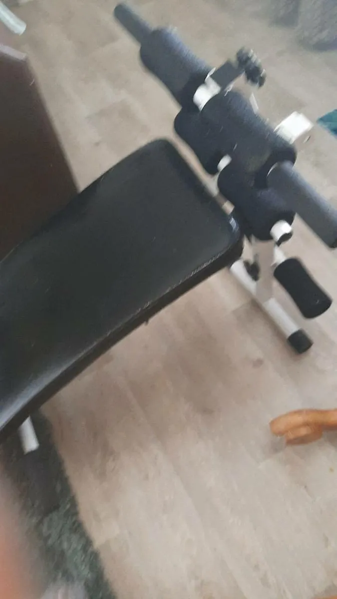 Weights - Image 2