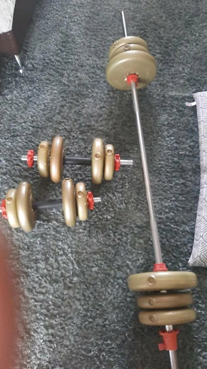 Weights - Image 4