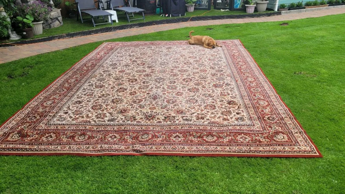 Rug - Image 1