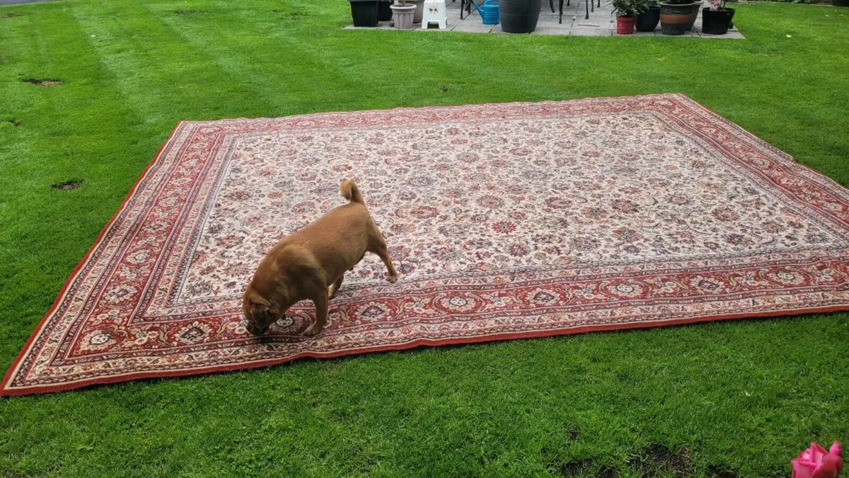 Rug - Image 2