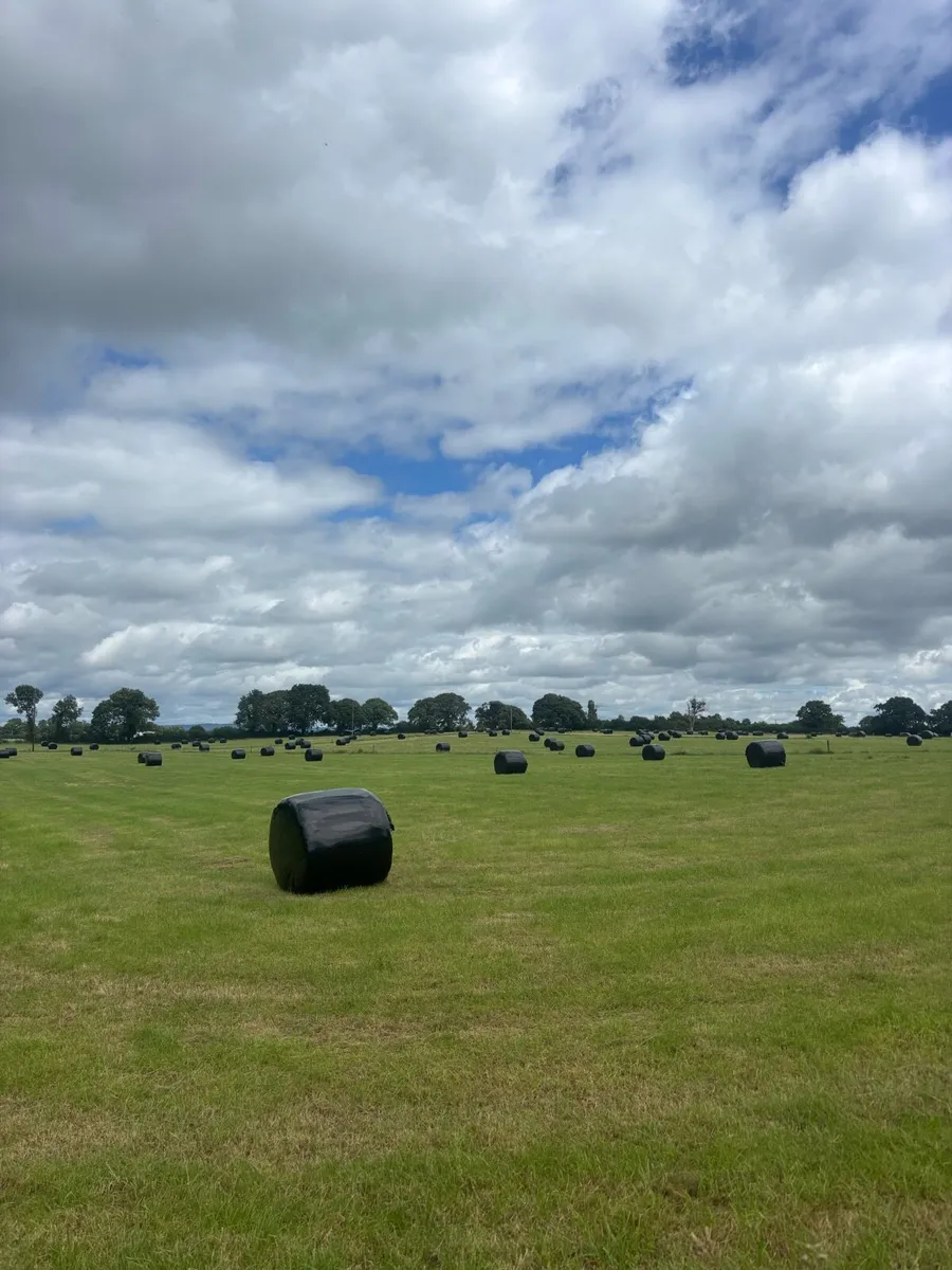 Haylage