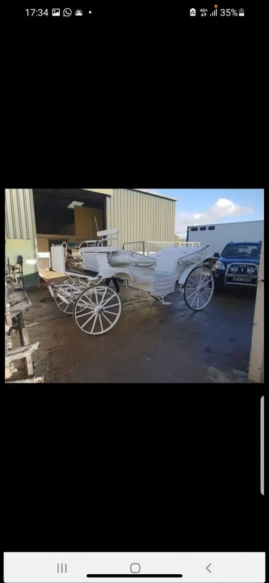 Vis vis carriage - Image 1