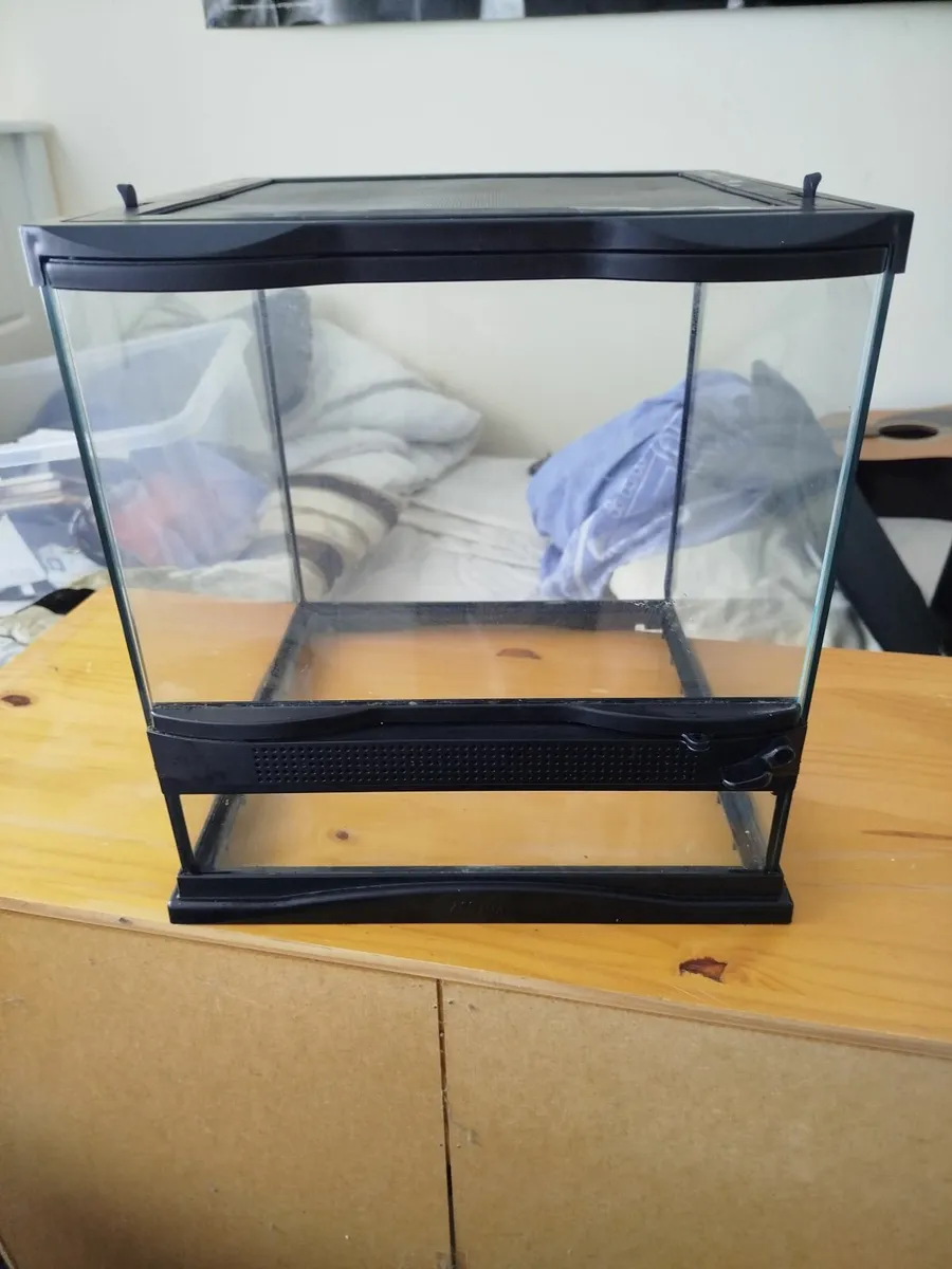 Reptile Tank Terrarium - Image 2
