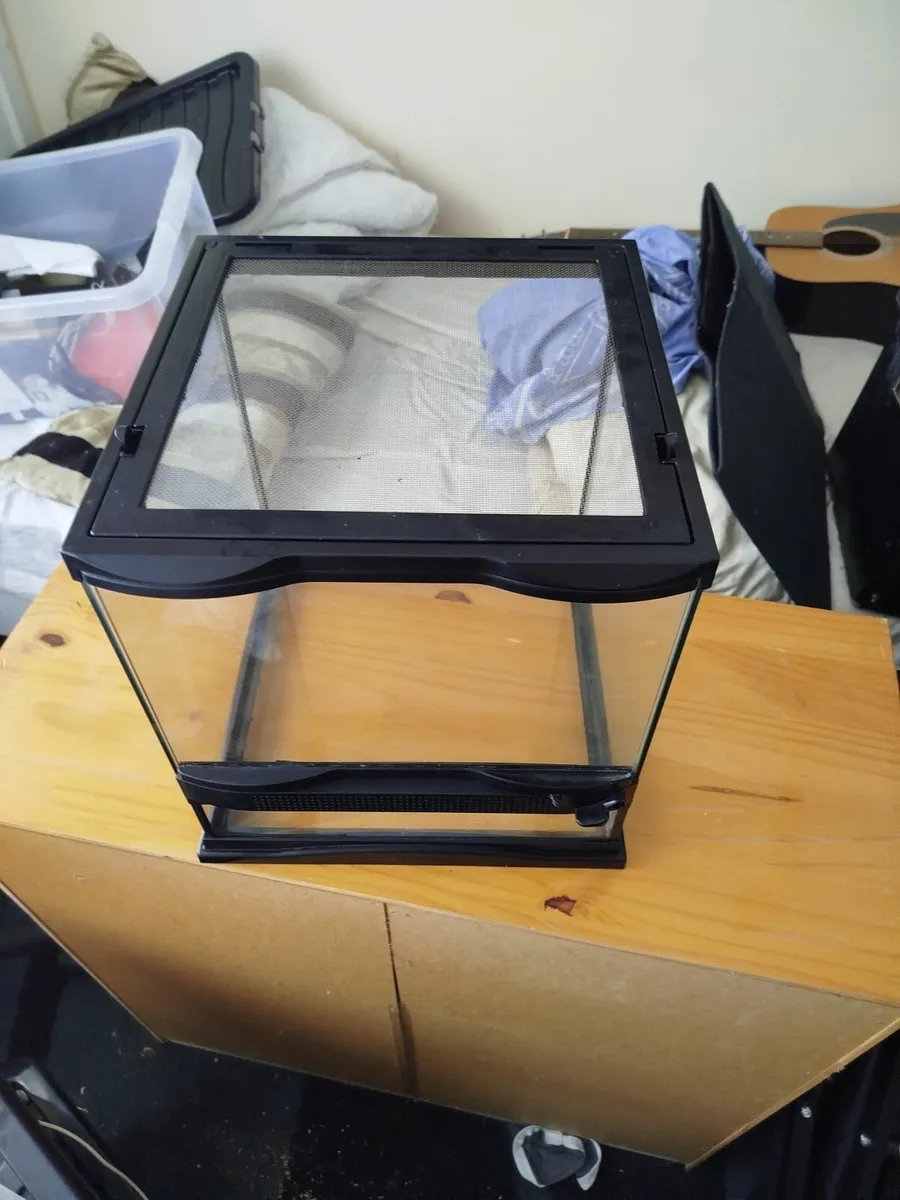 Reptile Tank Terrarium - Image 3