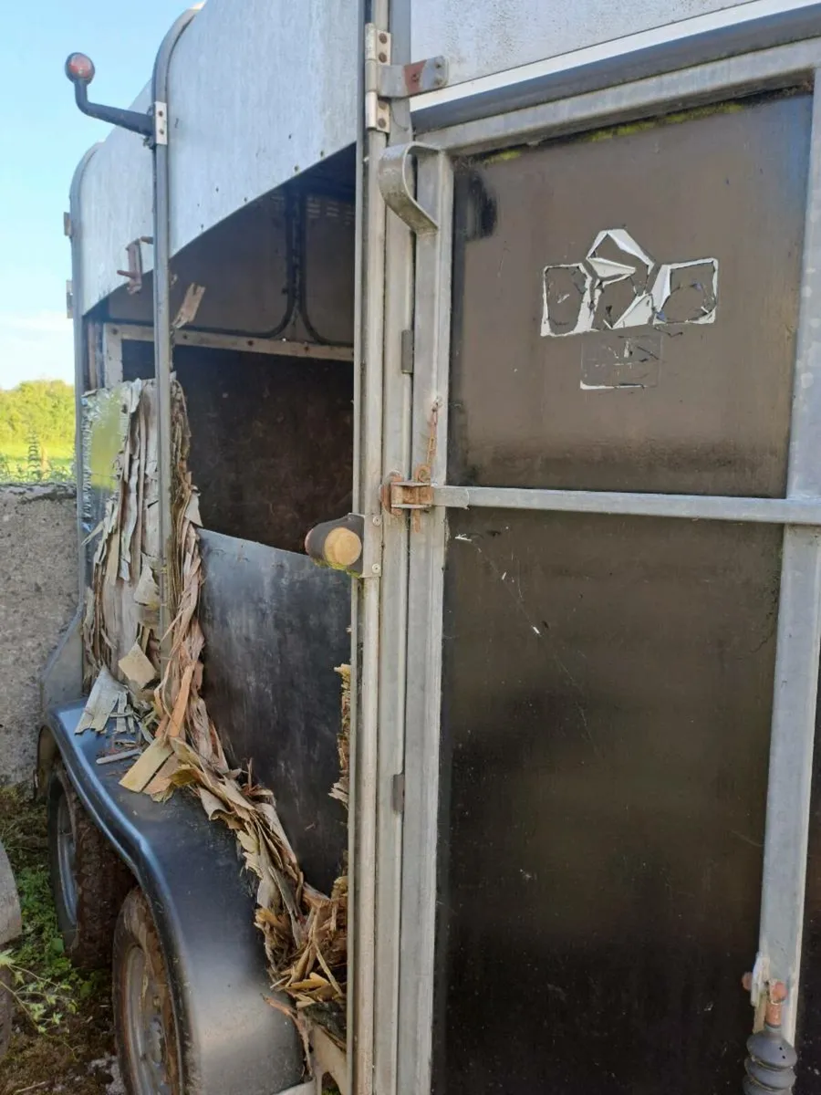 Horse box - Image 2