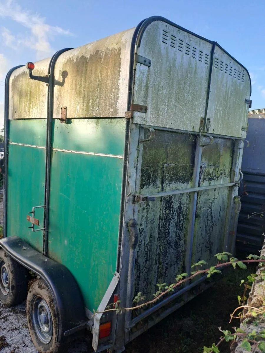 Horse box - Image 4