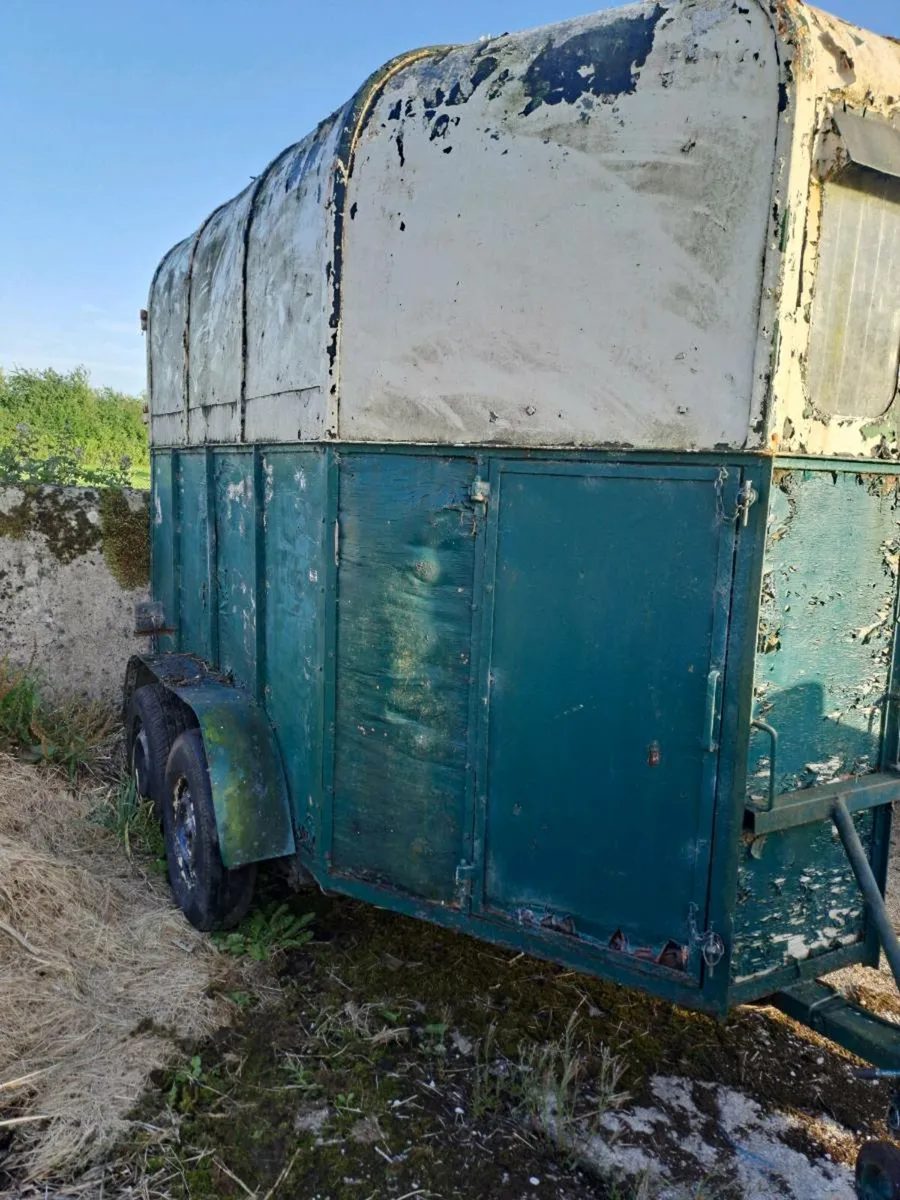 Horse box - Image 3