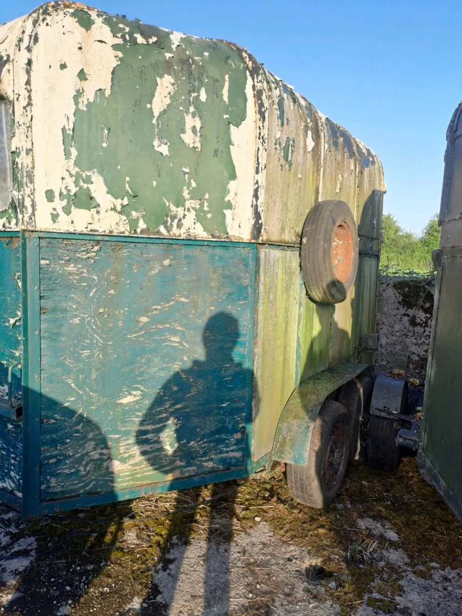 Horse box - Image 4