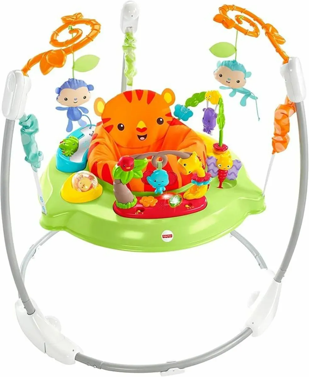 Fisher-Price Jumperoo Baby Bouncer - Image 1