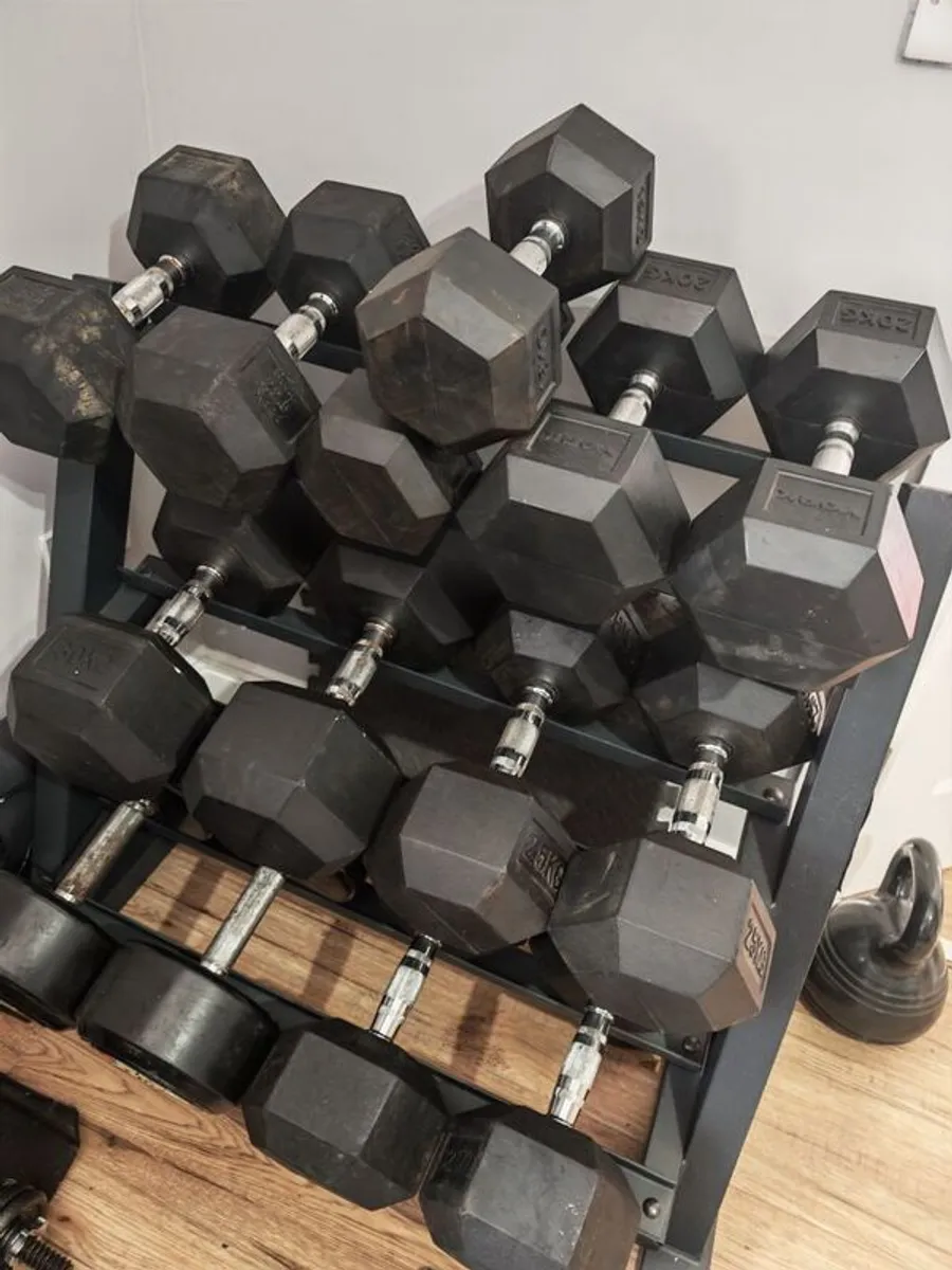 Hex Dumbbells