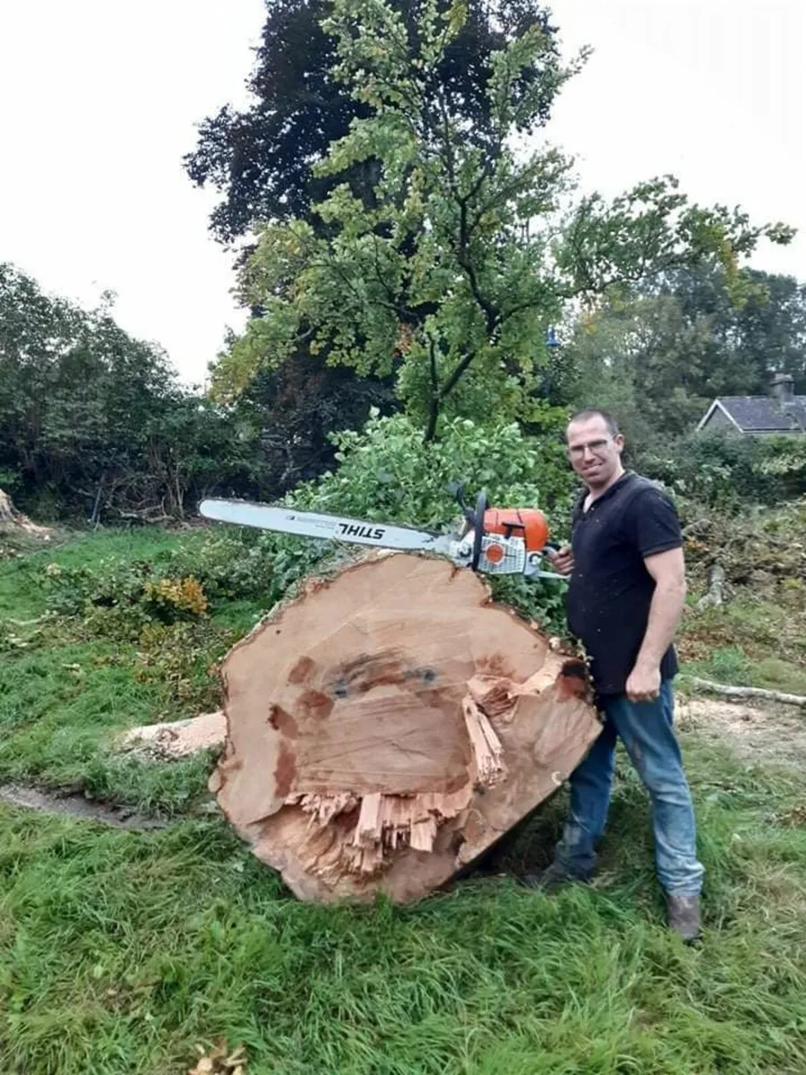 Firewood - Image 2