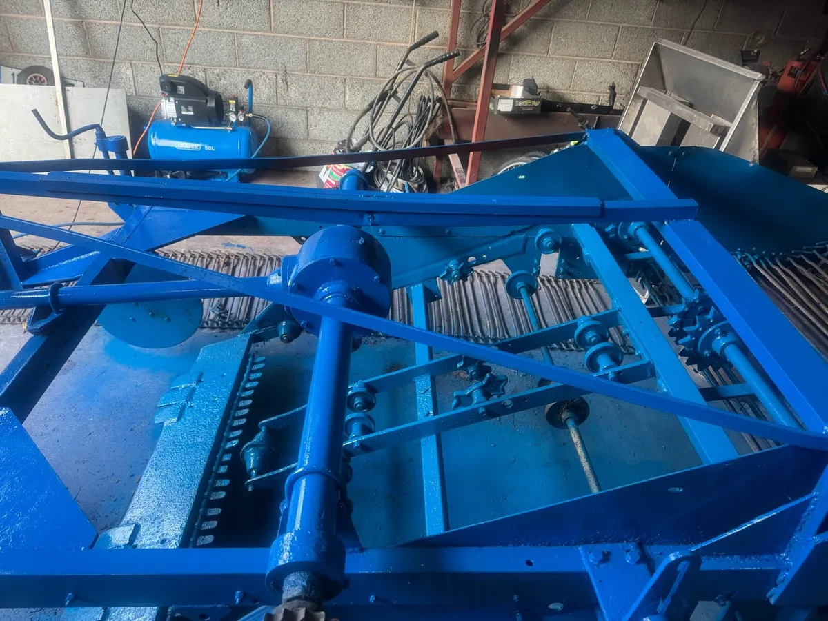 Double row potato harvester - Image 2
