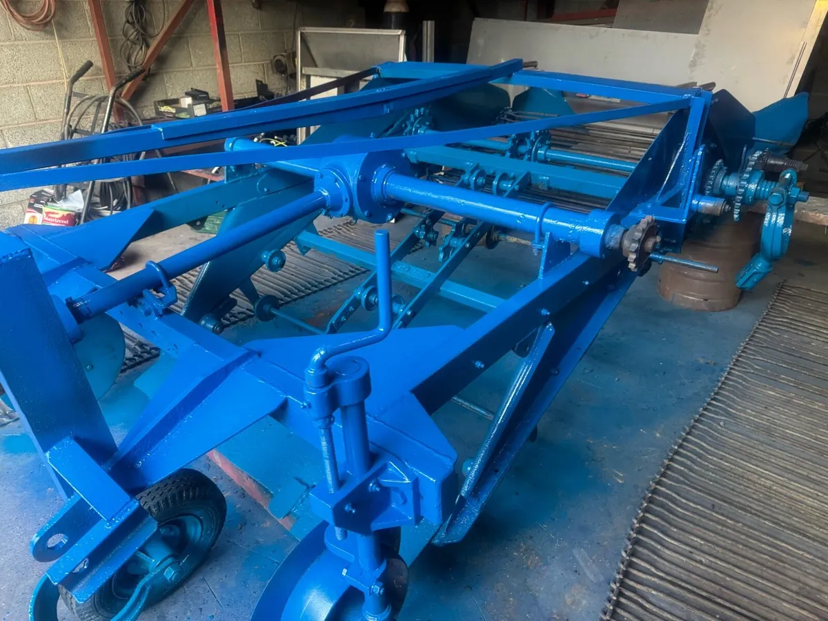 Double row potato harvester - Image 3